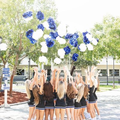 Bartram Trail Cheerleading