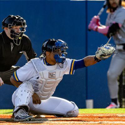 Mike Dorcean | Pro Baseball Development