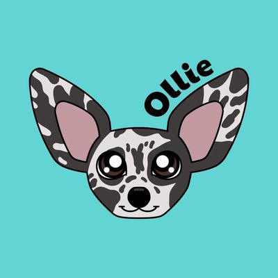 Ollie with the satellite ears 📡