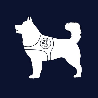 Canine Companions at UConn