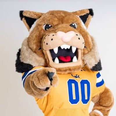 Champ Bobcat