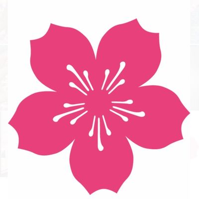 National Cherry Blossom Festival