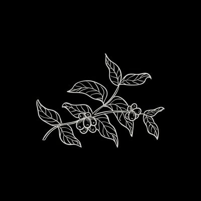 Coffee Pass ® | The Coffee Movement