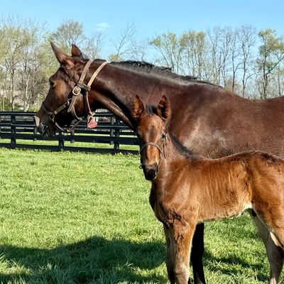 Crawford Farms, LLC