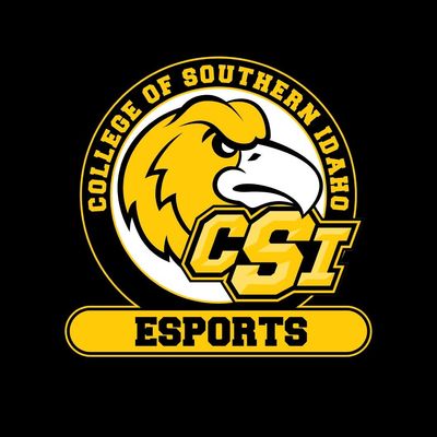 csieaglesesports