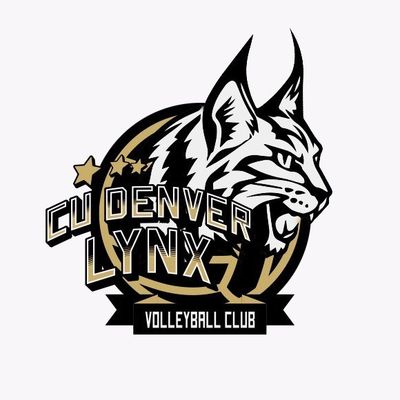CU Denver Men's Volleyball