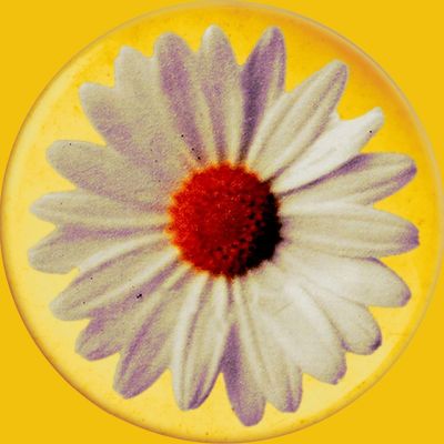 Daisy Chain Fields