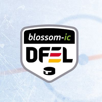 Deutsche Frauen Eishockey Liga