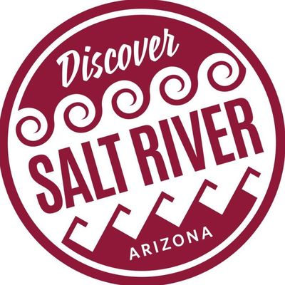 Salt River 🌵| Arizona Tourism