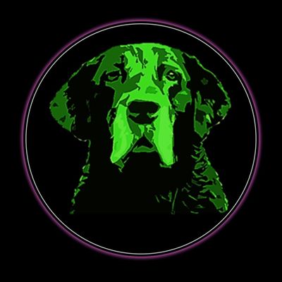 Dr.Hempdog - Dogs,Cats,Horses