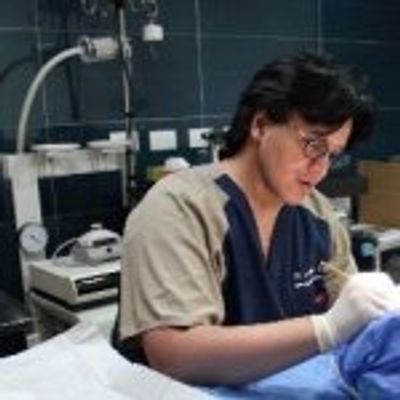 Dr Wilfredo Bello.