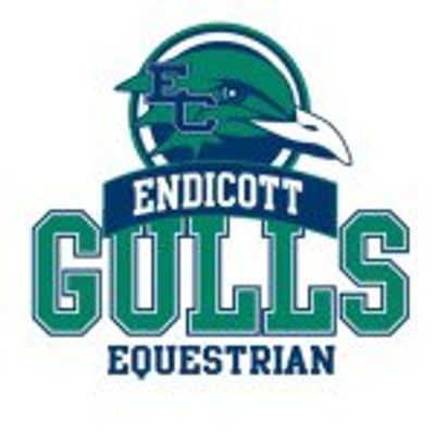 Endicott College Equestrian