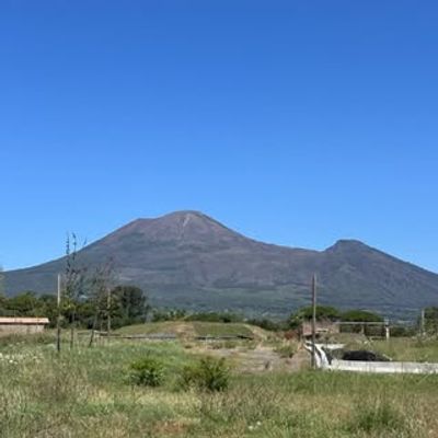 Family Trips Review