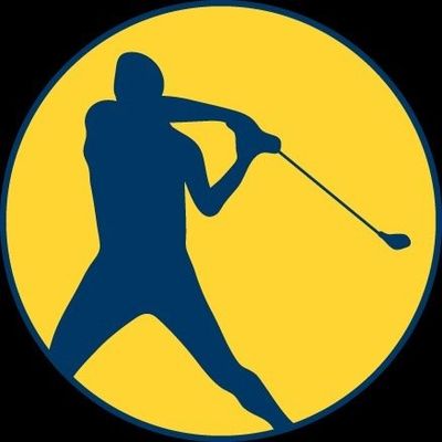 New Swarm FlingGolf