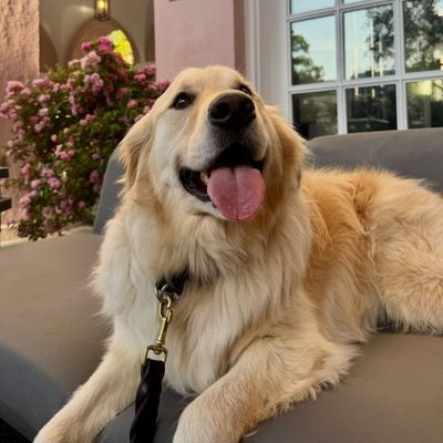 Golden Boy Brooks