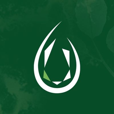 Greene Emerald Med Spa