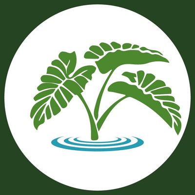 Hanalei Colony Resort