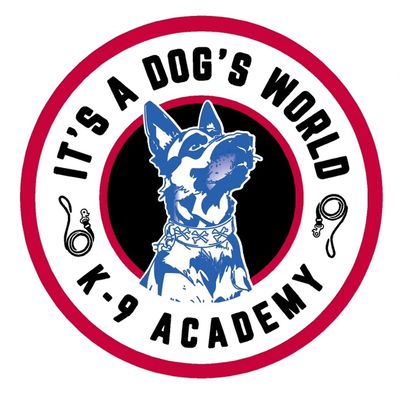 It's A Dog's World K9 Academy