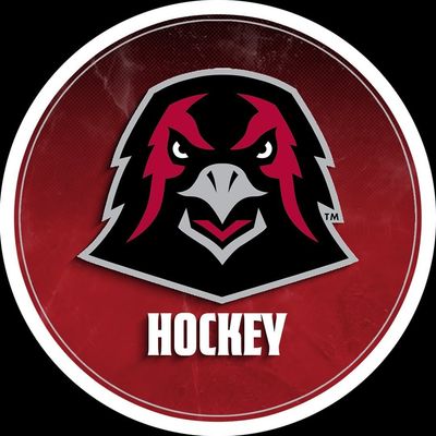 Crimson Hawks