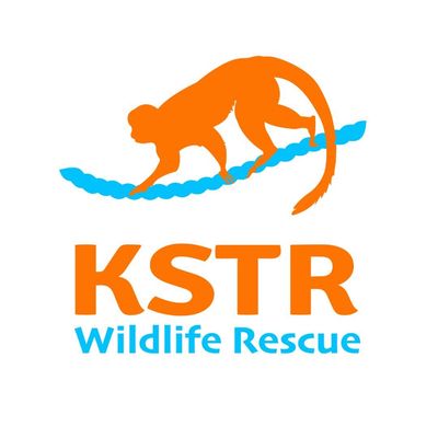 kidssavingtherainforest