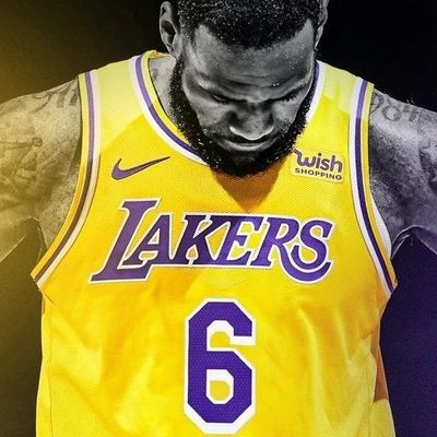 LeBron James 👑