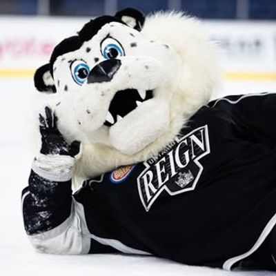 kingstonreign909