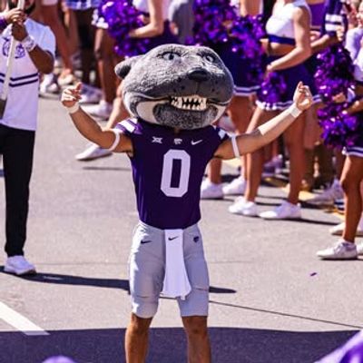 Willie THE Wildcat