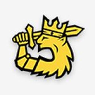 Leijonat.com – Fanien asialla