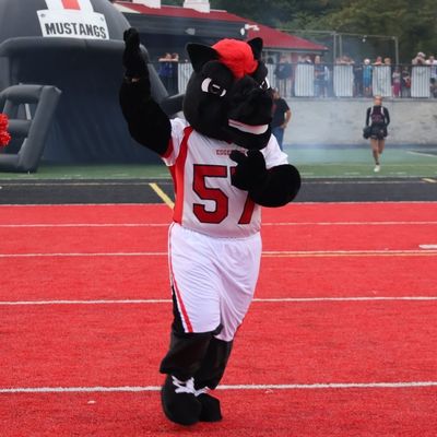 manny_the_mustang
