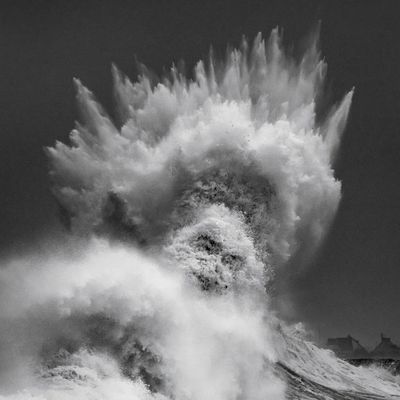 Mathieu Rivrin Photographies