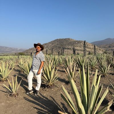 Jorge Palacios “El Pillo”