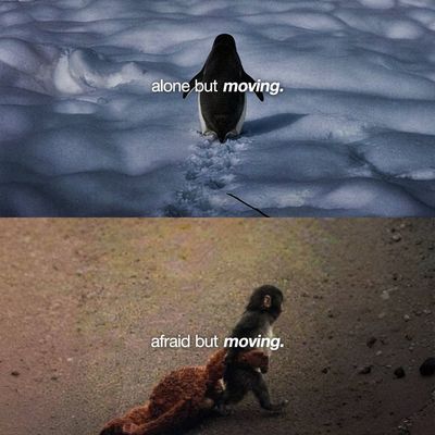 Lema