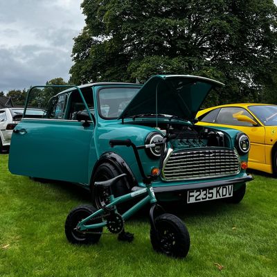 minicogster