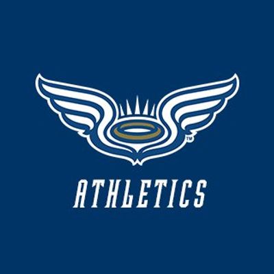 Mount Mary Univ. Athletics