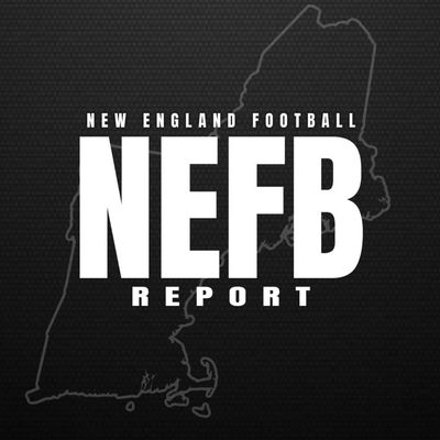 NEFB Report