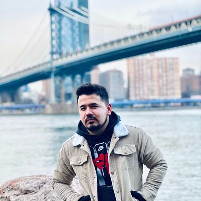 Panda en NY