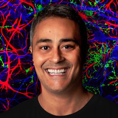 Paulo Jubilut