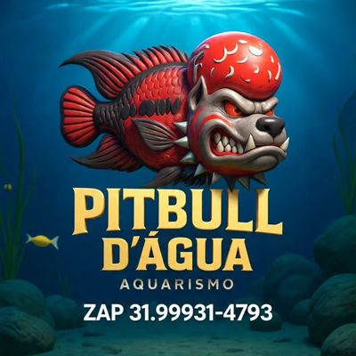 Pitbull D'agua Aquarismo
