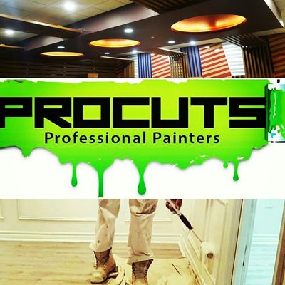 Procuts Professional Painters