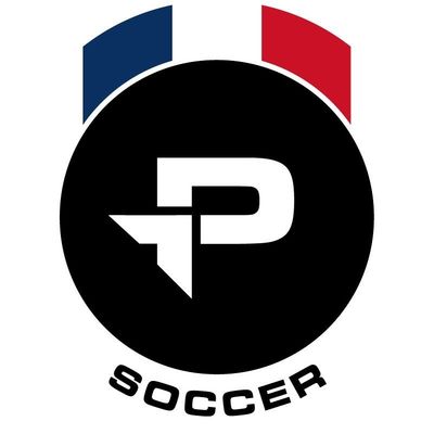 Pro:Direct Soccer | France