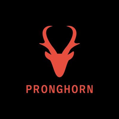 Pronghorn