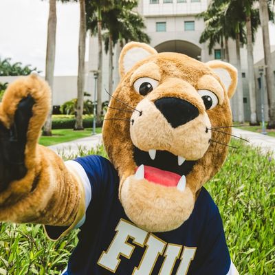 Roary