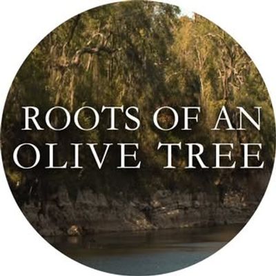 Roots of an Olive Tree Film