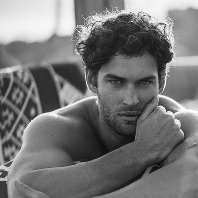 Leonardo Silvestri