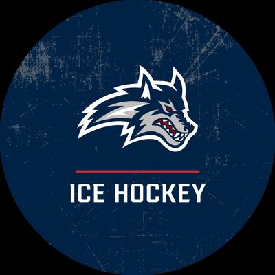 Stony Brook Ice Hockey