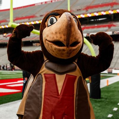 TESTUDO 🐢