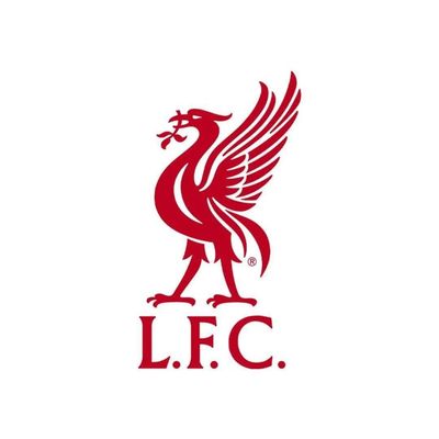 thelfcacademy