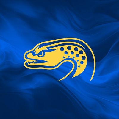 Parramatta Eels Women