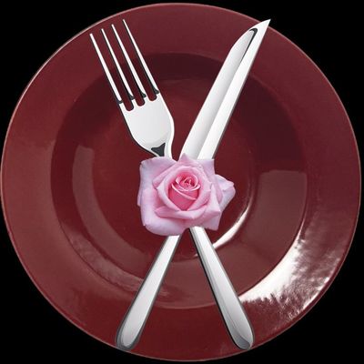 The Rose Experience