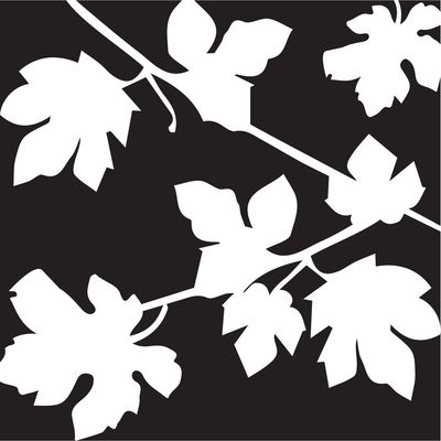 The Vineyards at Porter Ranch